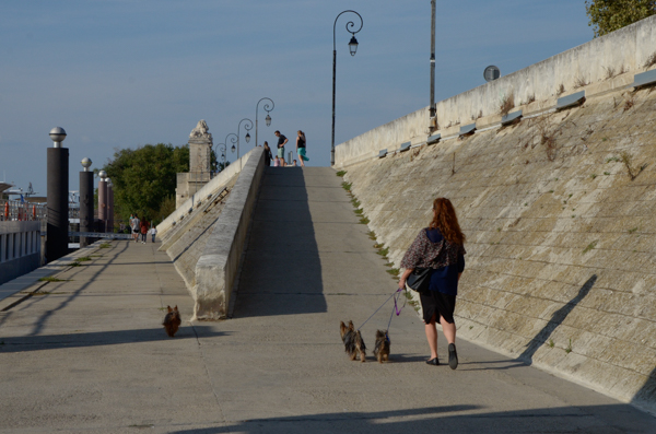 Rhone embankment