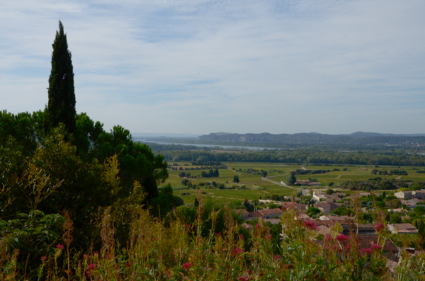 View from the Château