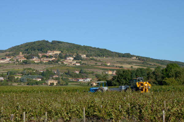 Harvesting