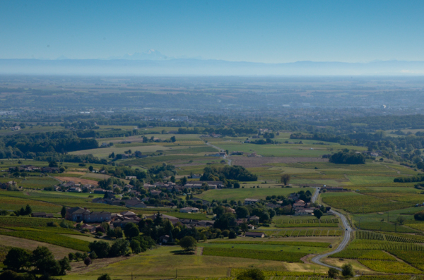 Beaujolais