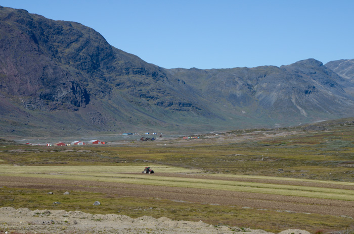 Narsaq farm