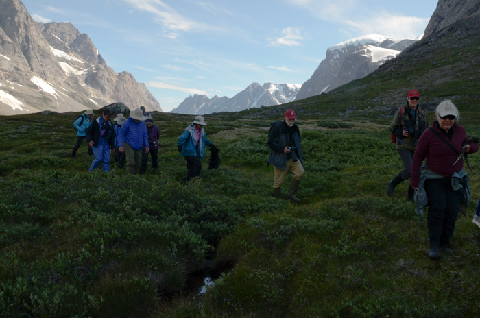 Bushwhacking