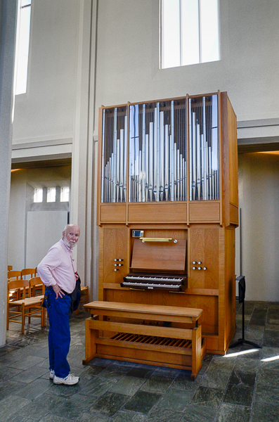 Small organ