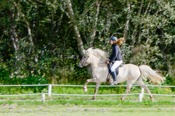 Canter