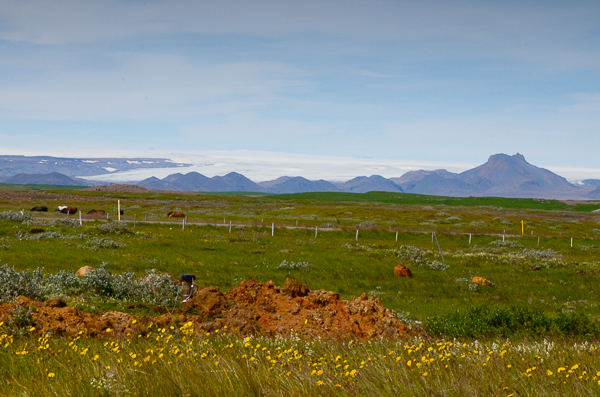 Glacier