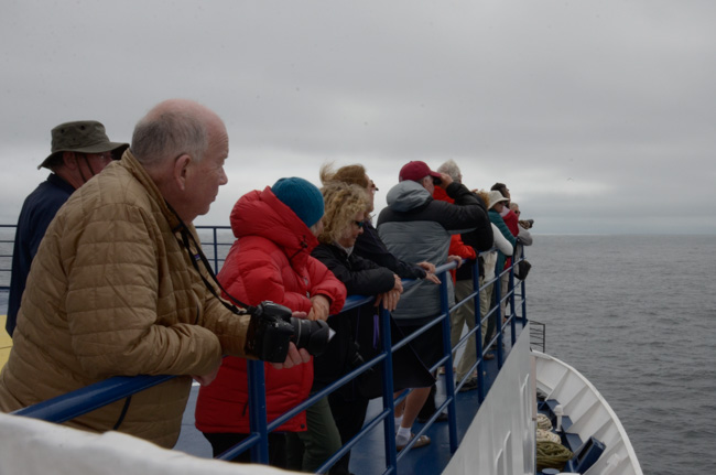 Watchers