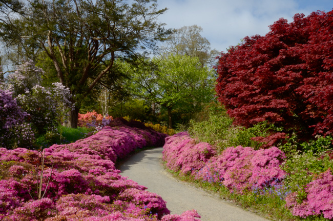 Dunmore garden