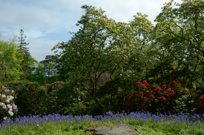Open space