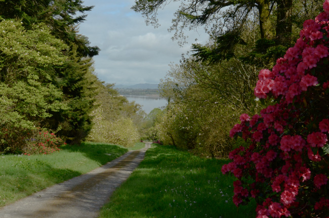 River view