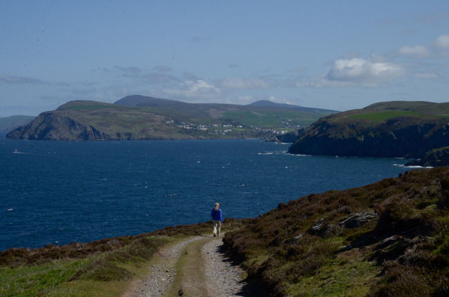 Calf of Man