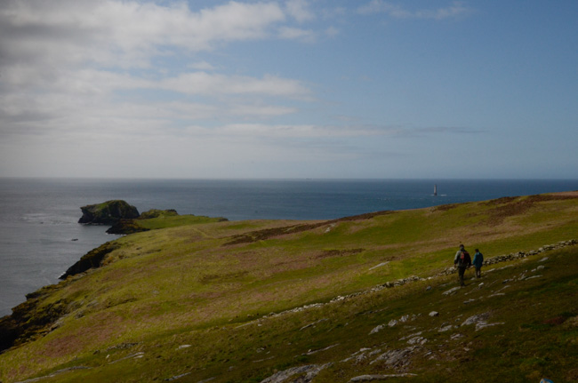 Calf of Man