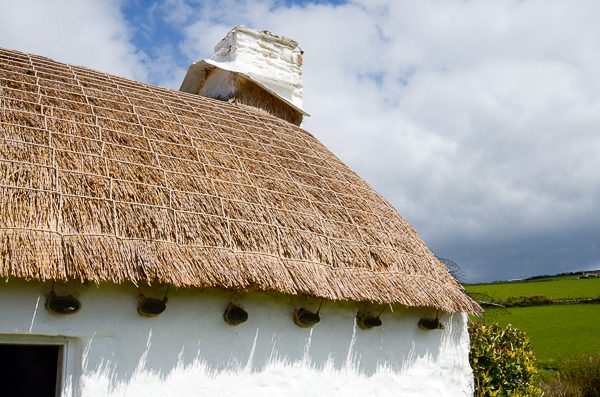 Thatch
