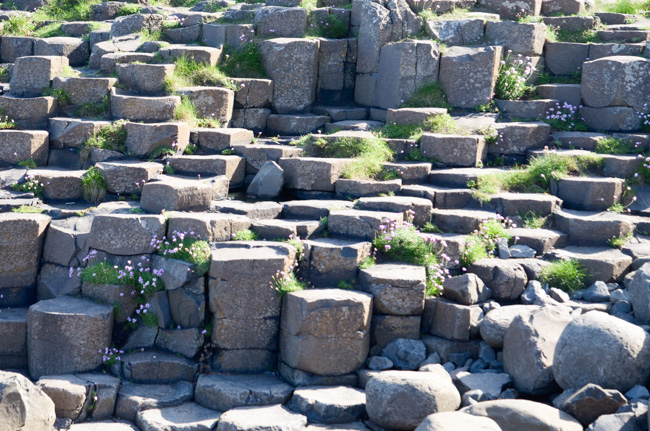 Basalt columns at the Giant's Causeway