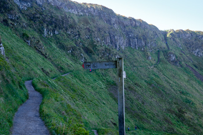 Pathway back