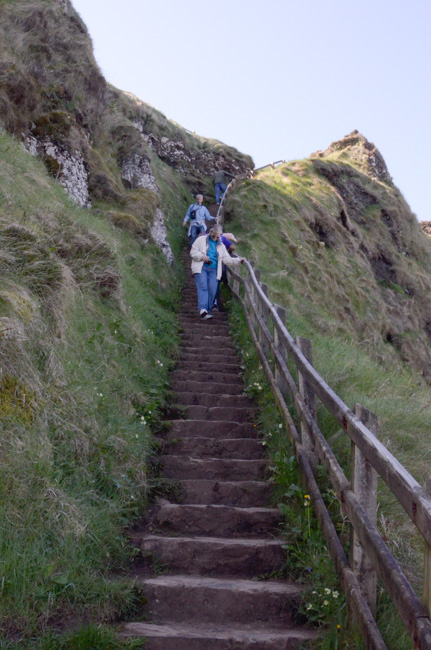 Shepherd's Steps