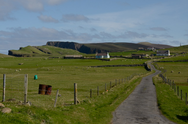 Country roads