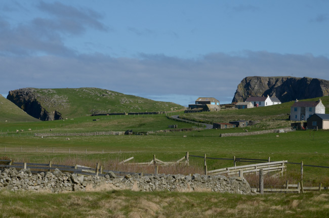Countryside
