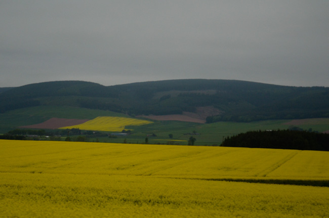Scottish Countryside