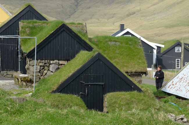 Turf Roofs