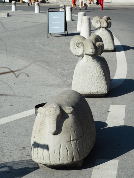 Sheep barriers