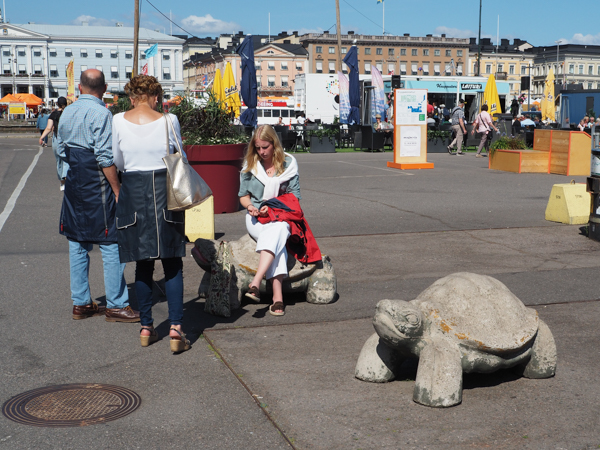 Turtle barriers