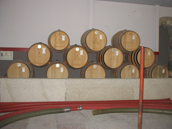 Quinta da Pacheca