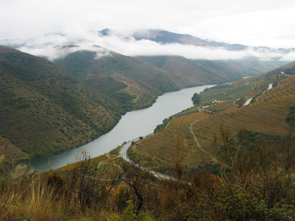 Coa River