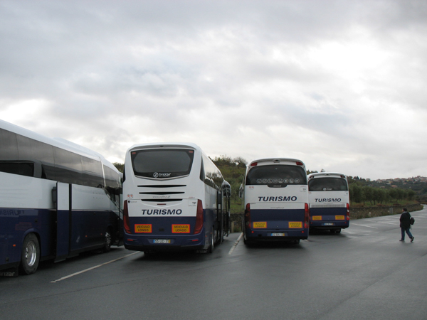 Our buses