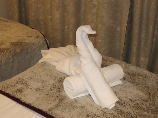 Swans