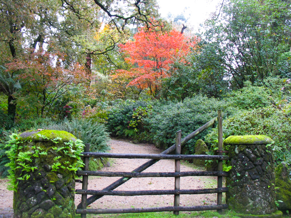 Quinta da Aveleda Garden