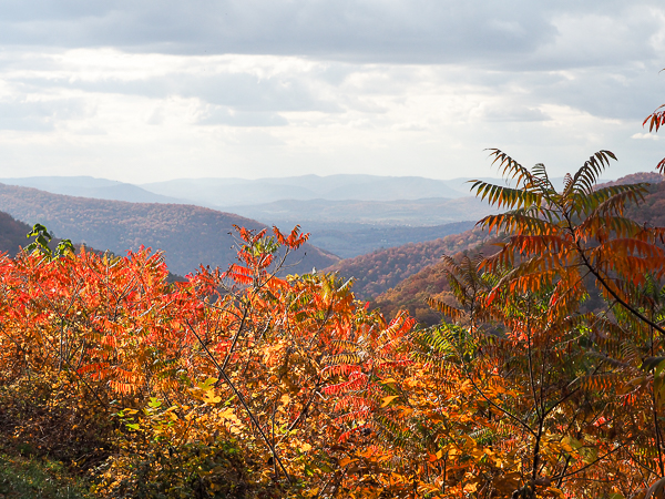Valley of Virginia