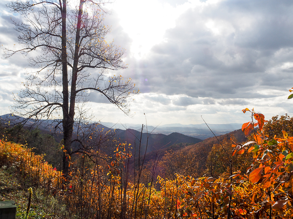 Overlook