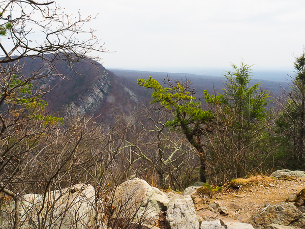Mt. Tammany