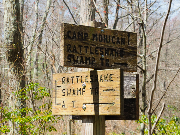 Trail marker