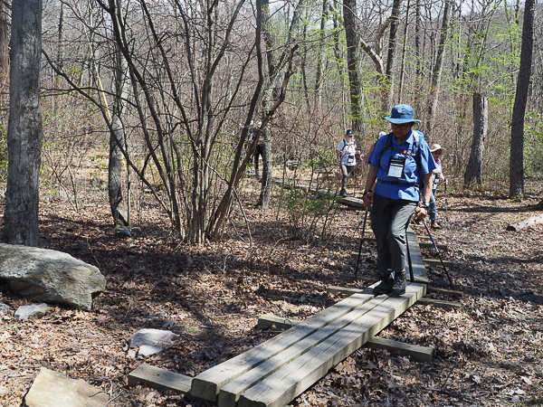 Rattlesnake Swamp
