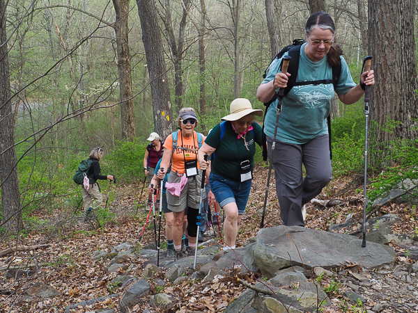 Farview Trail