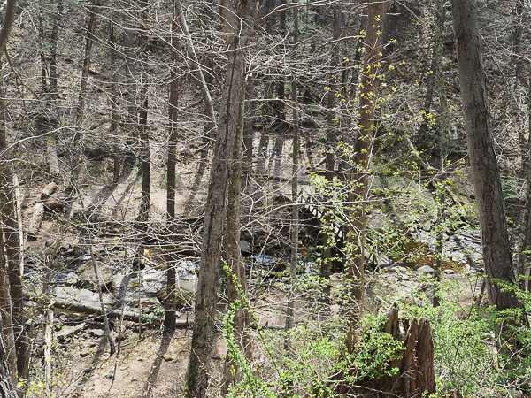 Dunnfield Creek Bridge