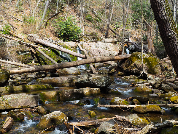 Dunnfield Falls