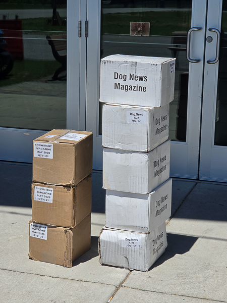 Magazine delivery
